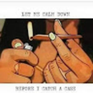 Meet your Posher, Burnamaneleelee